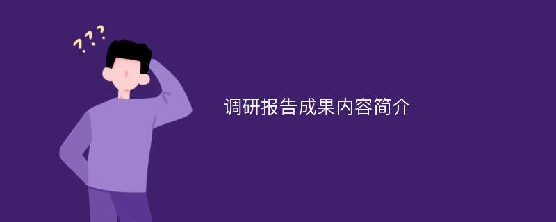 调研报告成果内容简介