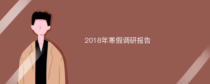 2018年寒假调研报告