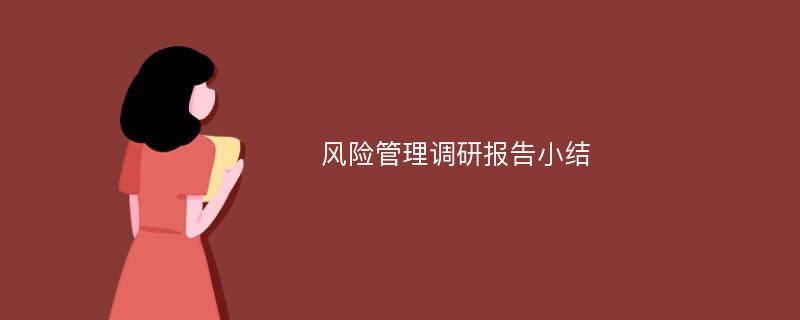 风险管理调研报告小结