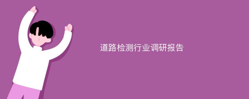 道路检测行业调研报告