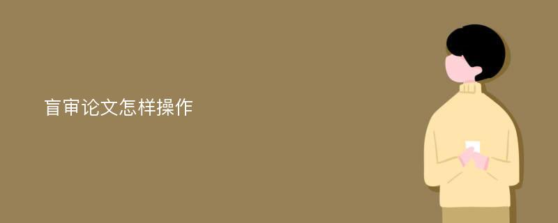 盲审论文怎样操作