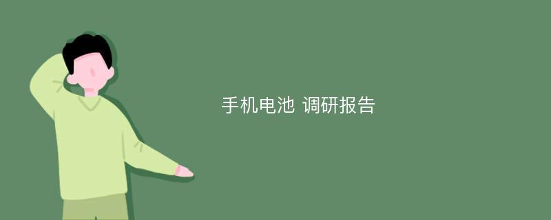 手机电池 调研报告