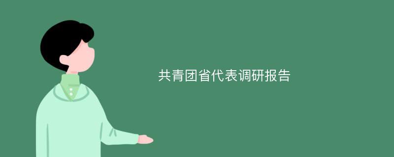 共青团省代表调研报告