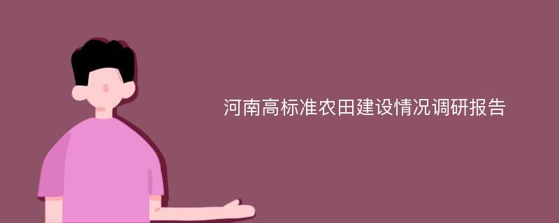 河南高标准农田建设情况调研报告