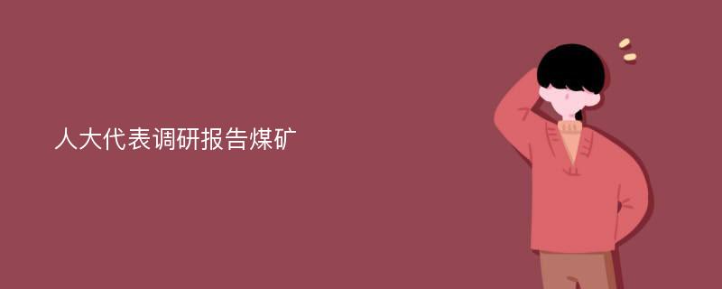 人大代表调研报告煤矿