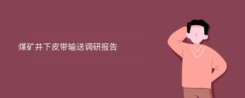 煤矿井下皮带输送调研报告