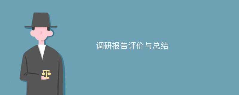 调研报告评价与总结